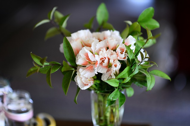 Breng leven in je huis met deze planten en groene tips